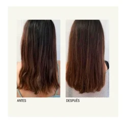 MONCHO MORENO Champús|Sin Sulfatos<Gorgerous Hair