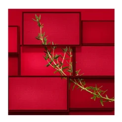 HUGO BOSS Perfumes<Hugo Intense