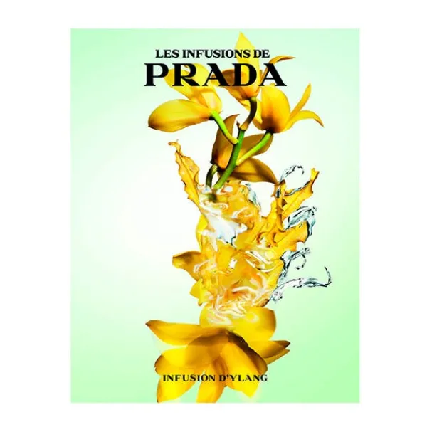 PRADA Perfumes Unisex|Hidratantes Faciales<Infusion D'ylang