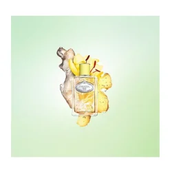 PRADA Perfumes Unisex|Hidratantes Faciales<Infusion Jengibre