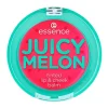 Juicy Melon Lip Tint Coloretes