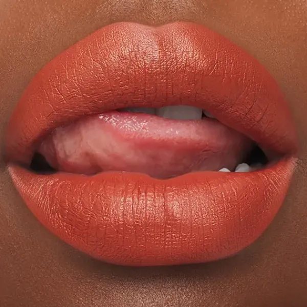 Outlet Labial Macximal Silky Matte Lipstick Pintalabios