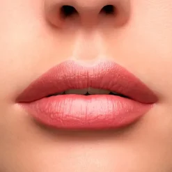 Clearance L'absolue Rouge Cream Pintalabios