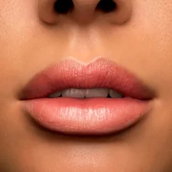 Clearance L'absolue Rouge Cream Pintalabios