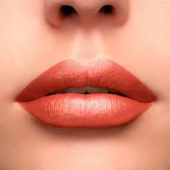 Clearance L'absolue Rouge Cream Pintalabios