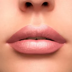 Clearance L'absolue Rouge Cream Pintalabios