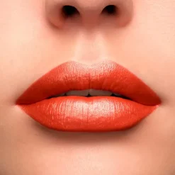 Clearance L'absolue Rouge Cream Pintalabios