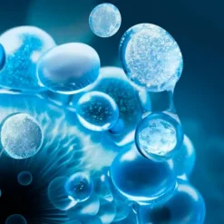 BIOTHERM Hidratantes<Lait Corporel Active Recovery