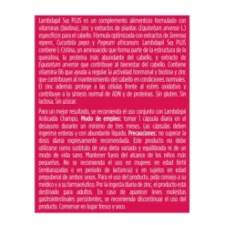 ISDIN Hidratantes Faciales|Tratamientos Capilares<Lambdapil 5a Plus Cápsulas