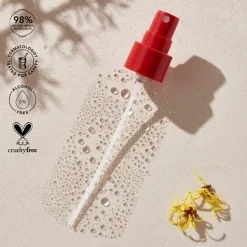 THAYERS Brumas Faciales|Hidratantes Faciales<Lavender Facial Mist