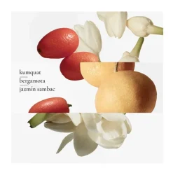 HERMÈS Perfumes Unisex<Le Jardin De Monsieur Li