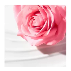 NUXE Leches|Hidratantes Faciales<Leche Desmaquillante Cremosa