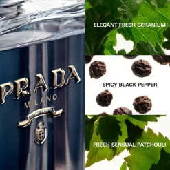PRADA Hidratantes Faciales|Perfumes<L'homme Eau De Toilette
