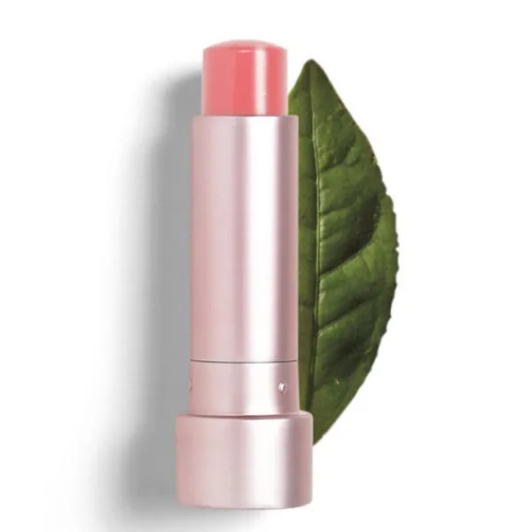 TEAOLOGY Bálsamos Labiales|Labios<Lip Balm Tea