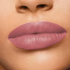 Clearance Lipsatin Lipstick Pintalabios