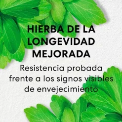 BAREMINERALS Antiedad<Long Life Herb Night Treatment