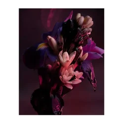 Outlet Man In Black Parfum Perfumes