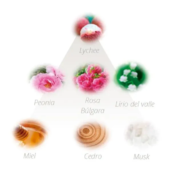 DEVOTA & LOMBA Hidratantes Faciales<Mar De Rosas