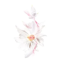 Outlet Mask Tissu Hydra Boom Calmante Mascarillas