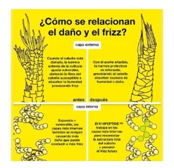 K18 Tratamientos|Aceites<Molecular Repair