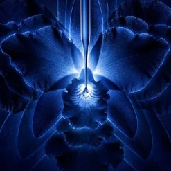 GUERLAIN Antiedad<Orchidee Imperial Crema Rica