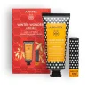 APIVITA Bálsamos Labiales|Manos<Pack Winter Wonder Honey