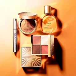 CLARINS Profesional<Palette Aall-In-One