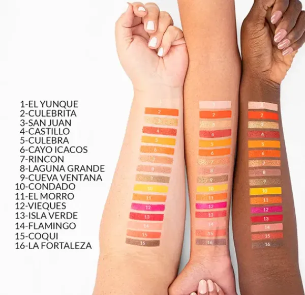 BH COSMETICS Sombras De Ojos|Sombras De Ojos<Party In Puerto Rico