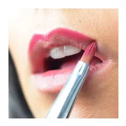Hot Pincel Professional Labios Brochas Y Pinceles