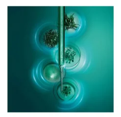 HELENA RUBINSTEIN Contorno Ojos<Powercell Skinmunity Eye Care