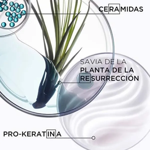 KERASTASE Champús|Cabello Dañado<Resistance Bain Force Architecte Shampoo