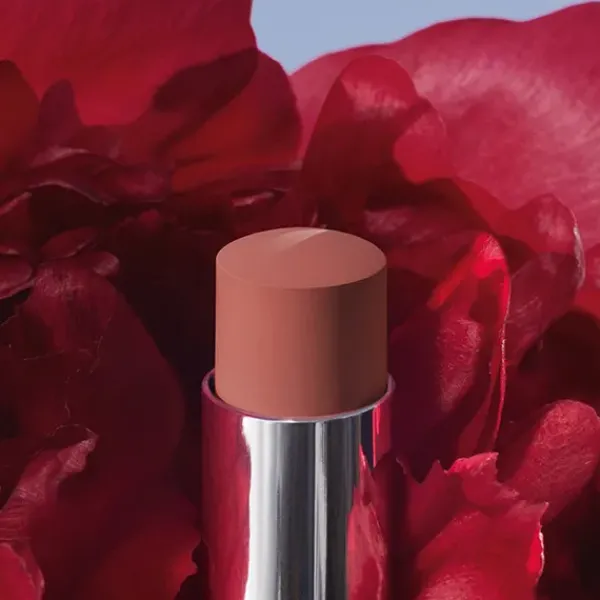 Clearance Rouge Forever Pintalabios