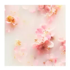 Clearance Sakura Body Lotion Mousse Corporal