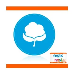 EVAX Hidratantes Faciales|Protegeslips<Salvaslip Maxi