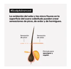 L'OREAL PROFESSIONNEL Champús<Scalp Advanced
