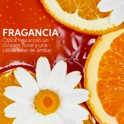 Wella Professionals Tratamientos|Sérums<Serum Ultimate Smooth