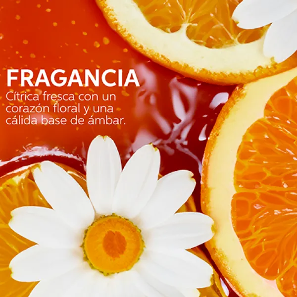 Wella Professionals Tratamientos|Sérums<Serum Ultimate Smooth