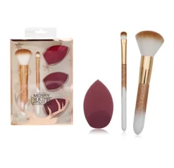 Clearance Set 2 Brochas Y 3 Esponjas Brochas Y Pinceles