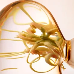 Best Skin Essentials Refreshing Express Cleanser Limpieza