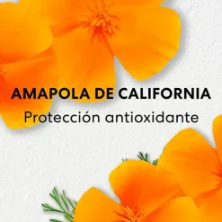 BAREMINERALS Serums|Cruelty Free<Skinlongevity Long Life Herb Serum