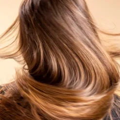 HAIR RITUEL BY SISLEY Sin Sulfatos|Cabello Seco<Soin Lavant Revitalisant Nourrissant