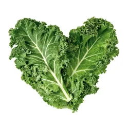 LACABINE Serums<Sérum Age Killer