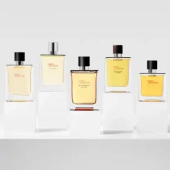 Outlet Terre D'hermès Perfumes