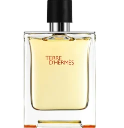 Best Terre D'hermès Perfumes
