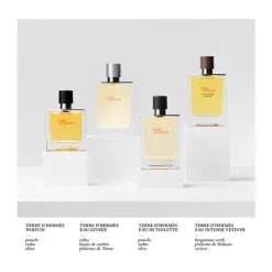 Best Terre D'hermès Perfumes