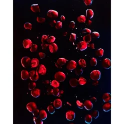 Sale Tommy Impact Spark E.T Perfumes