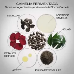 SHISEIDO Serums|Cosmética Japonesa<Ultimune Power Infusing Concentrate 3.0