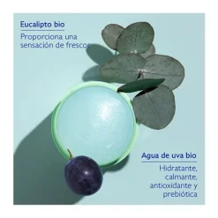 CAUDALIE Hidratantes Faciales|Desodorantes<Vinofresh