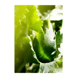 Sale Wood Essence Perfumes