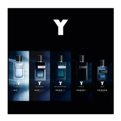 YVES SAINT LAURENT Perfumes<Y Le Parfum